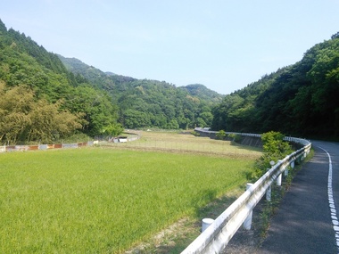 IMG_20160522_085724.jpg