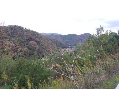 IMG_20161101_140016.jpg